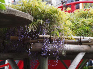 P4262434shuusei.JPG