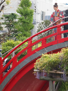 P4262374shuusei.JPG