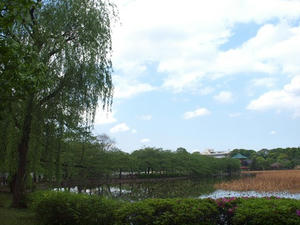 P4221533shuusei.JPG