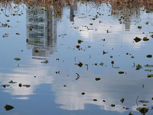 P4221540shuusei.JPG