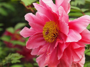 P4221649shuusei.JPG