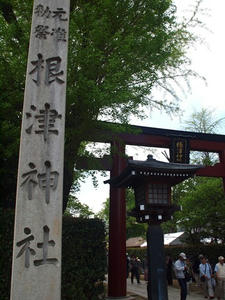 P4221416shuusei.JPG
