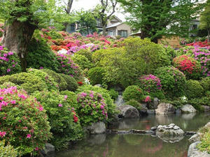 P4221418shuusei.JPG