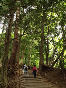 P5032570shuusei.JPG