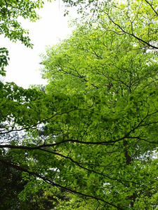 P5032572shuusei.JPG