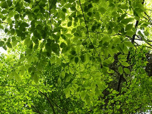 P5032571shuusei.JPG