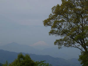 P5032573shuusei.JPG