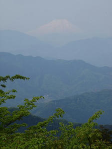 P5032582shuusei.JPG