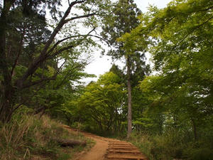 P5032588shuusei.JPG