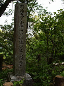 P5032673shuusei.JPG
