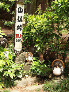 P5032677shuusei.JPG