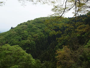 P5032678shuusei.JPG