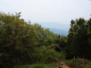 P5032696shuusei.JPG