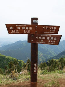 P5032702shuusei.JPG