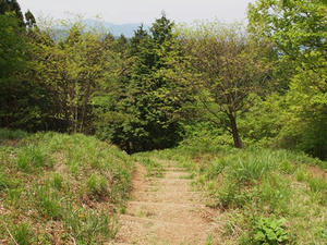 P5032722shuusei.JPG