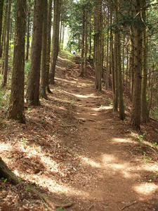 P5032734shuusei.JPG