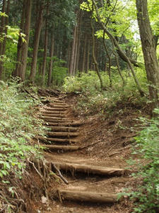 P5032747shuusei.JPG