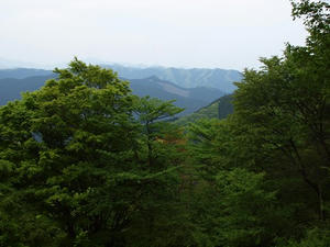 P5032749shuusei.JPG