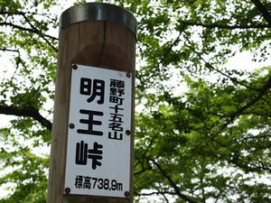 P5032757shuusei.JPG