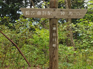 P5032780shuusei.JPG