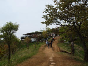 P5032784shuusei.JPG