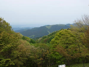 P5032786shuusei.JPG