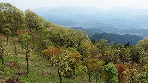 P5032816shuusei.JPG