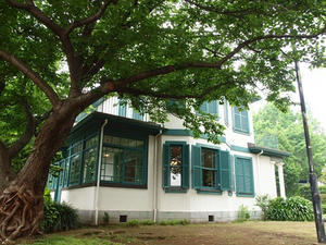 P5132902shuusei.JPG