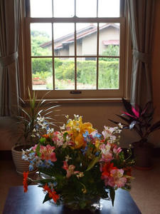 P5133054shuusei.JPG