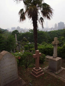 P5133092shuusei.JPG