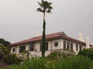 P5133111shuusei.JPG