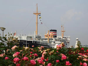P5133251shuusei.JPG