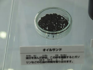 P5133311shuusei.JPG