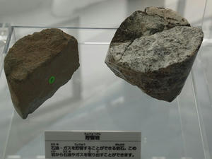P5133312shuusei.JPG