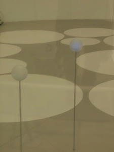 P5133492shuusei.JPG