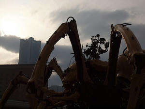 P5133316shuusei.JPG
