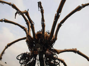 P5133390shuusei.JPG