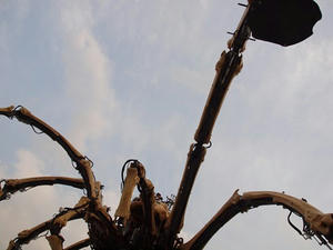 P5133394shuusei.JPG
