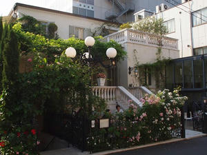 P5204541shuusei.JPG