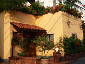 P5204554shuusei.JPG