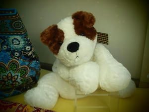 P5204550shuusei.JPG