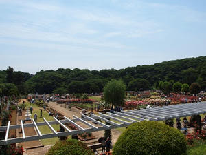 P5204357shuusei.JPG
