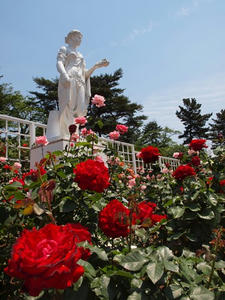 P5204398shuusei.JPG
