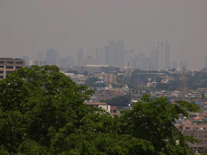 P5204424shuusei.JPG
