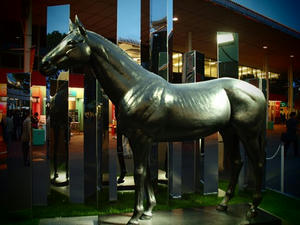 P6036925shuusei.JPG
