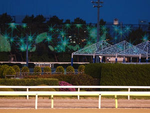 P6036934shuusei.JPG