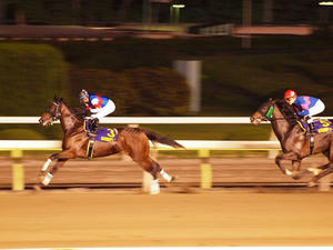 P6037184shuusei.JPG