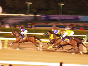 P6037191shuusei.JPG