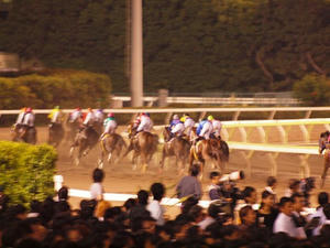 P6037208shuusei.JPG