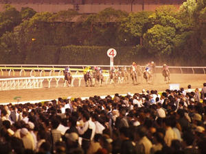 P6037219shuusei.JPG
